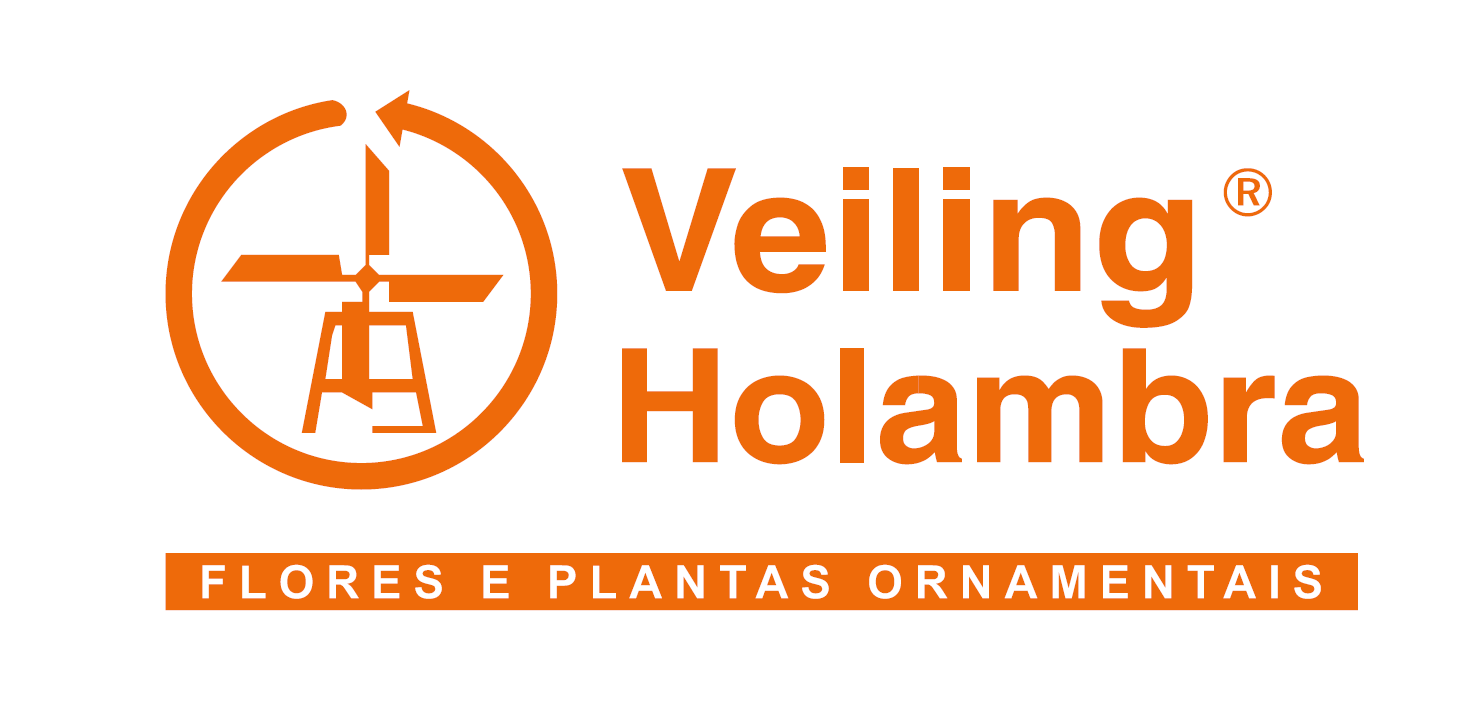 VEILING HOLAMBRA